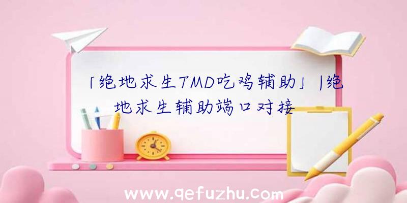 「绝地求生TMD吃鸡辅助」|绝地求生辅助端口对接